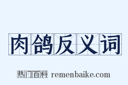 肉鸽反义词是什么意思的图片